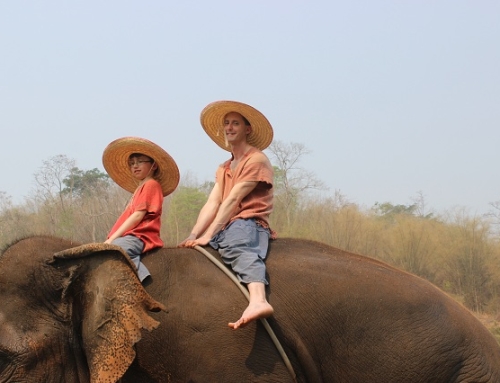 Riding Pachyderms in Chiang Mai, Thailand!